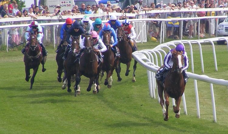 A Brief History of the Epsom Derby ( Full History )