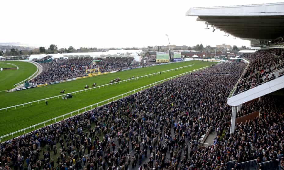 10 Facts About Horse Racing Cheltenham horse betting